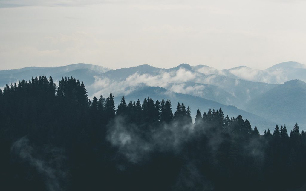 Georgia smoke school visible emissions and opacity training