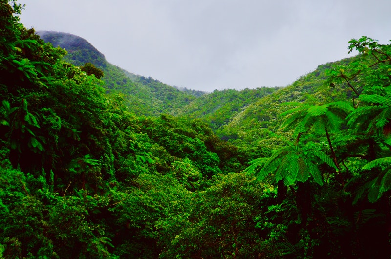 Smoke school and visible emissions in Puerto Rico